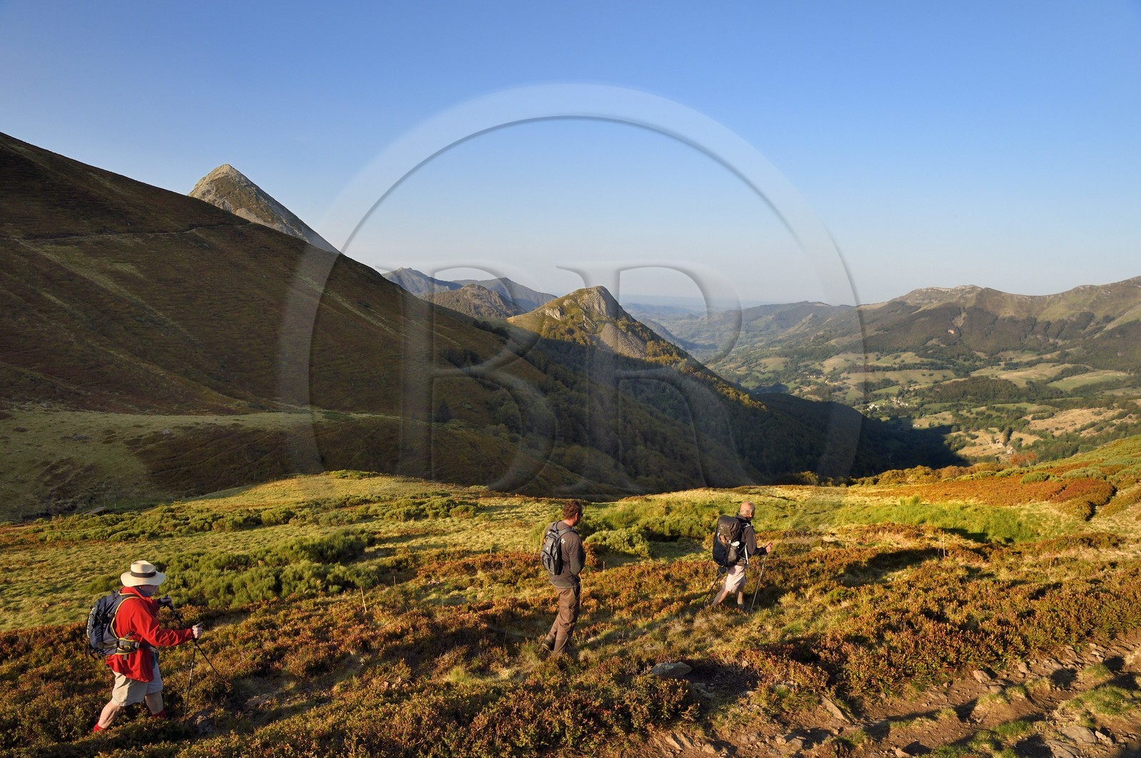 France, Cantal (15), Parc Naturel Régional des Volcans d'Auvergne, Le Lioran, col de Rombière surplombant la vallée de la Jordanne, randonneurs sur le chemin de Saint-Jacques de Compostelle par la Via Arverna, en arrière plan le Puy Griou émergeant à gauche et le Griounou à sa droite