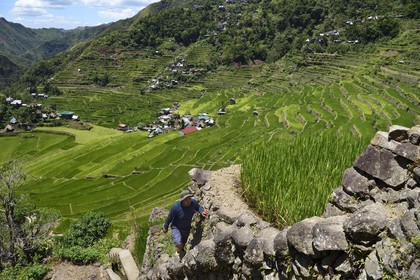 Philippines, Ifugao province, trek in the Banaue rice terraces around the village of Batad, listed as World Heritage by UNESCO