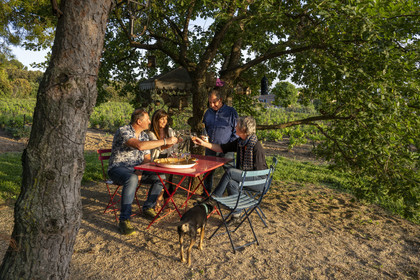 France, Vaucluse (84), Dentelles de Montmirail, Beaumes-de-Venise, Mas de l’Evajade, la maison d’hôtes vigneronne de Corinne et Pascal Bernard