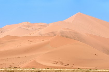 Namibie, région d'Hardap, désert du Namib, parc national du Namib-Naukluft, Erg du Namib classé Patrimoine Mondial de l'UNESCO, dunes de Sossusvlei, randonneurs sur la dune Big Daddy