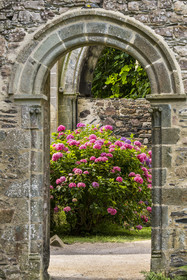 France, Cotes d'Armor, Paimpol, the 13th century Beauport Abbey