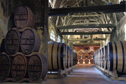 France, Calvados, Pays d'Auge, Le Breuil en Auge, Chateau du Breuil producer of Calvados AOC Pays d'Auge, barrels in aging cellars