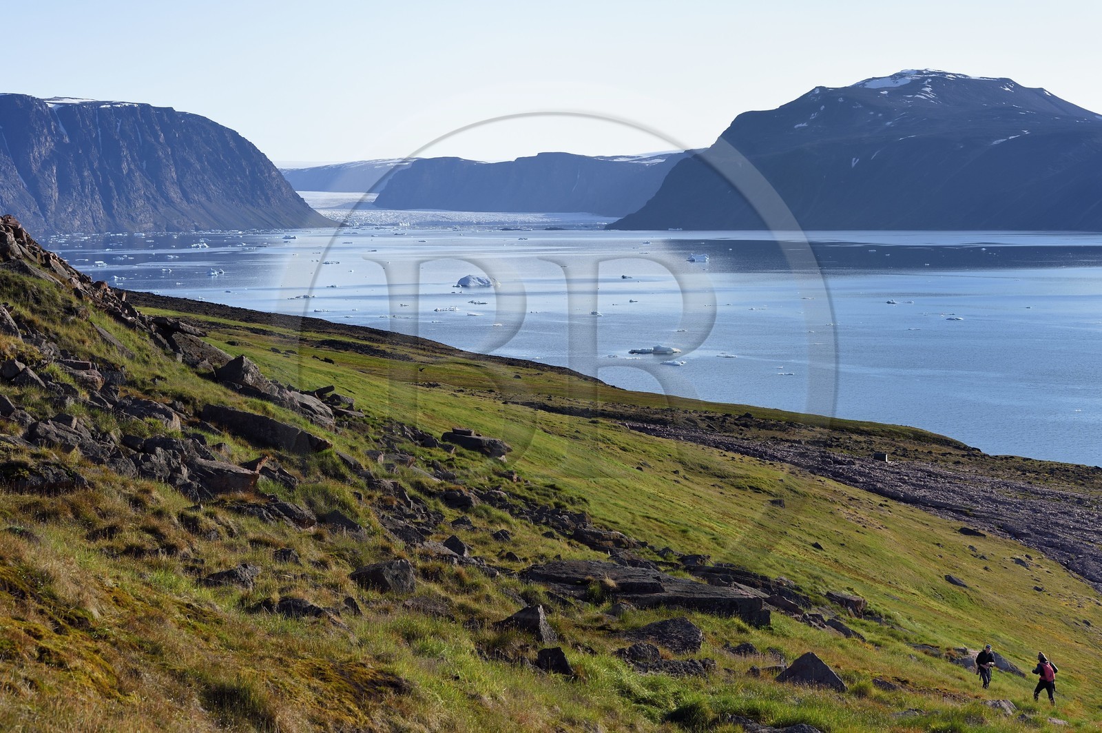 Groenland, cote Nord-Ouest, Murchison sound au nord de la baie de Baffin, Robertson fjord à Siorapaluk dont la plupart de ses habitants vivent de la chasse