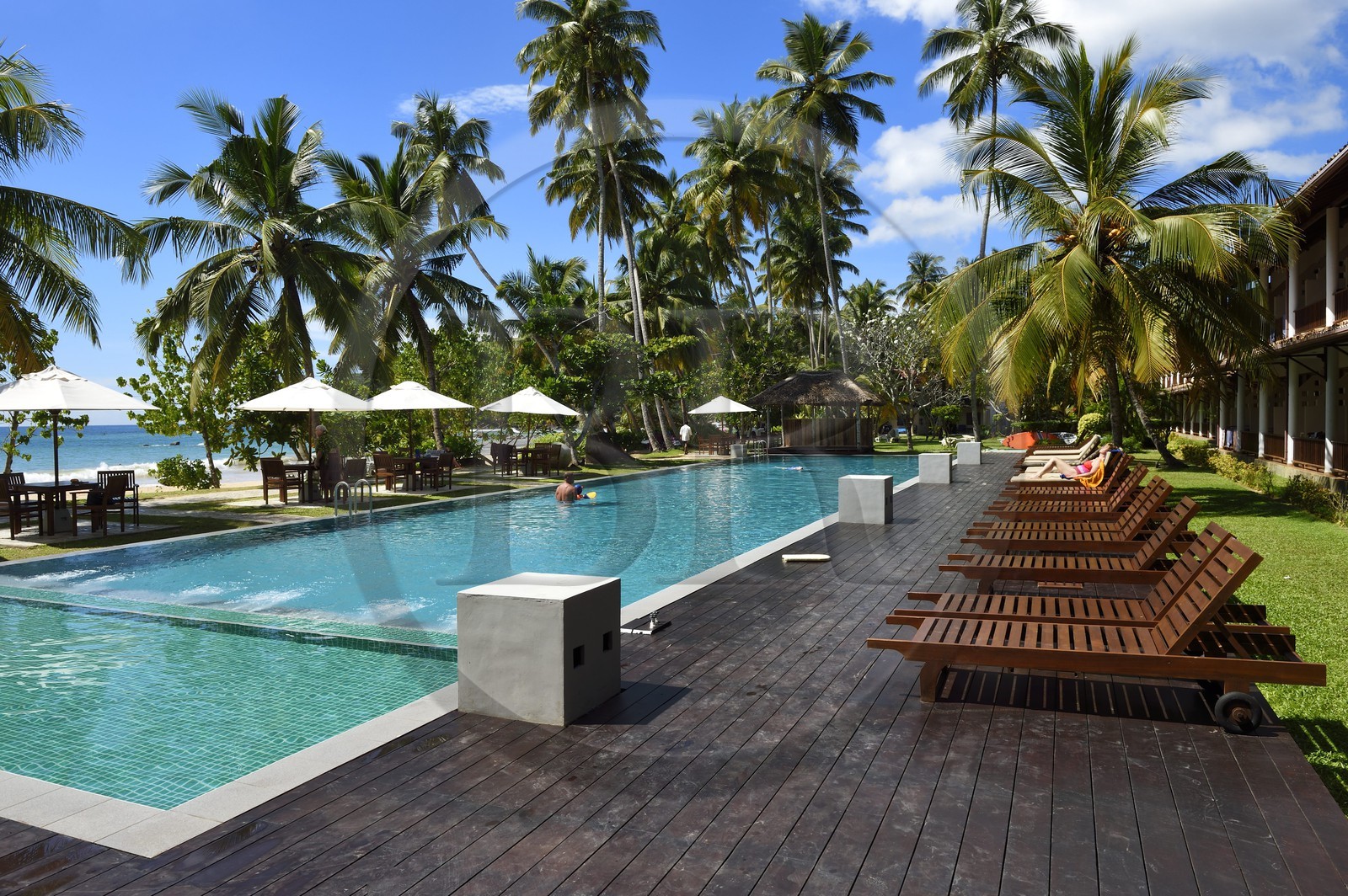Sri Lanka, Province du Sud, Weligama, plage de Mirissa, Paradise Beach Club hotel