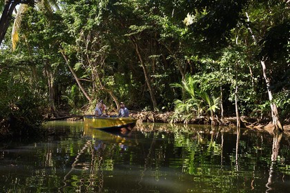 Caraïbes, Ile de la Dominique, Portsmouth, touristes découvrant les rives de l'Indian River en barque