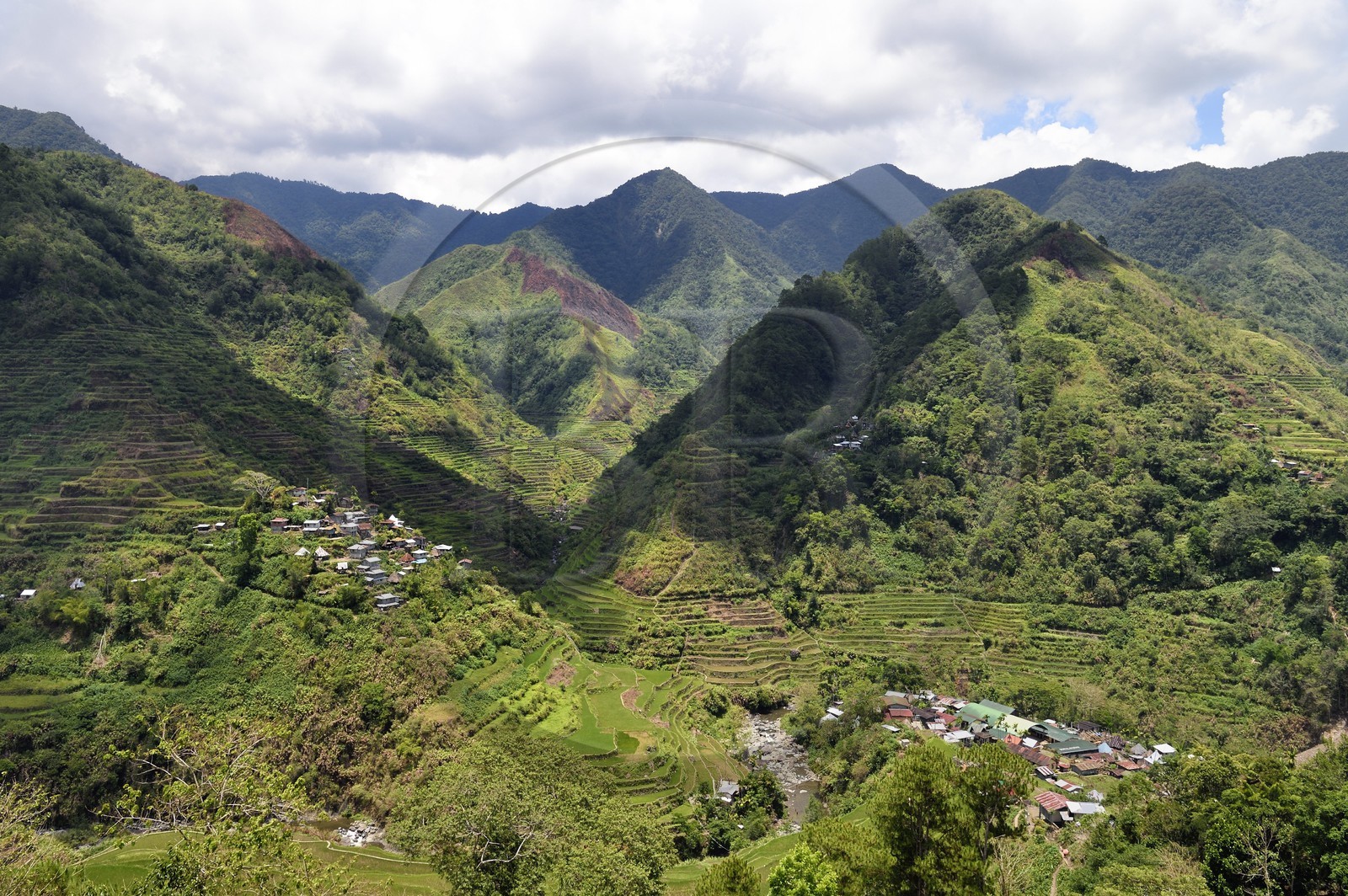 Philippines, province d'Ifugao, les rizières en terrasses de Banaue, classées Patrimoine Mondial de l'UNESCO, alimentées par un ancien système d'irrigation depuis la forêt tropicale au-dessus des terrasses et le village de Cambulo
