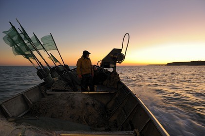 France, Seine-Maritime, off the coast of Veules-les-Roses at dawn, net fishing on the boat La Pomme owned by Anthony Paumier the youngest skipper in France
