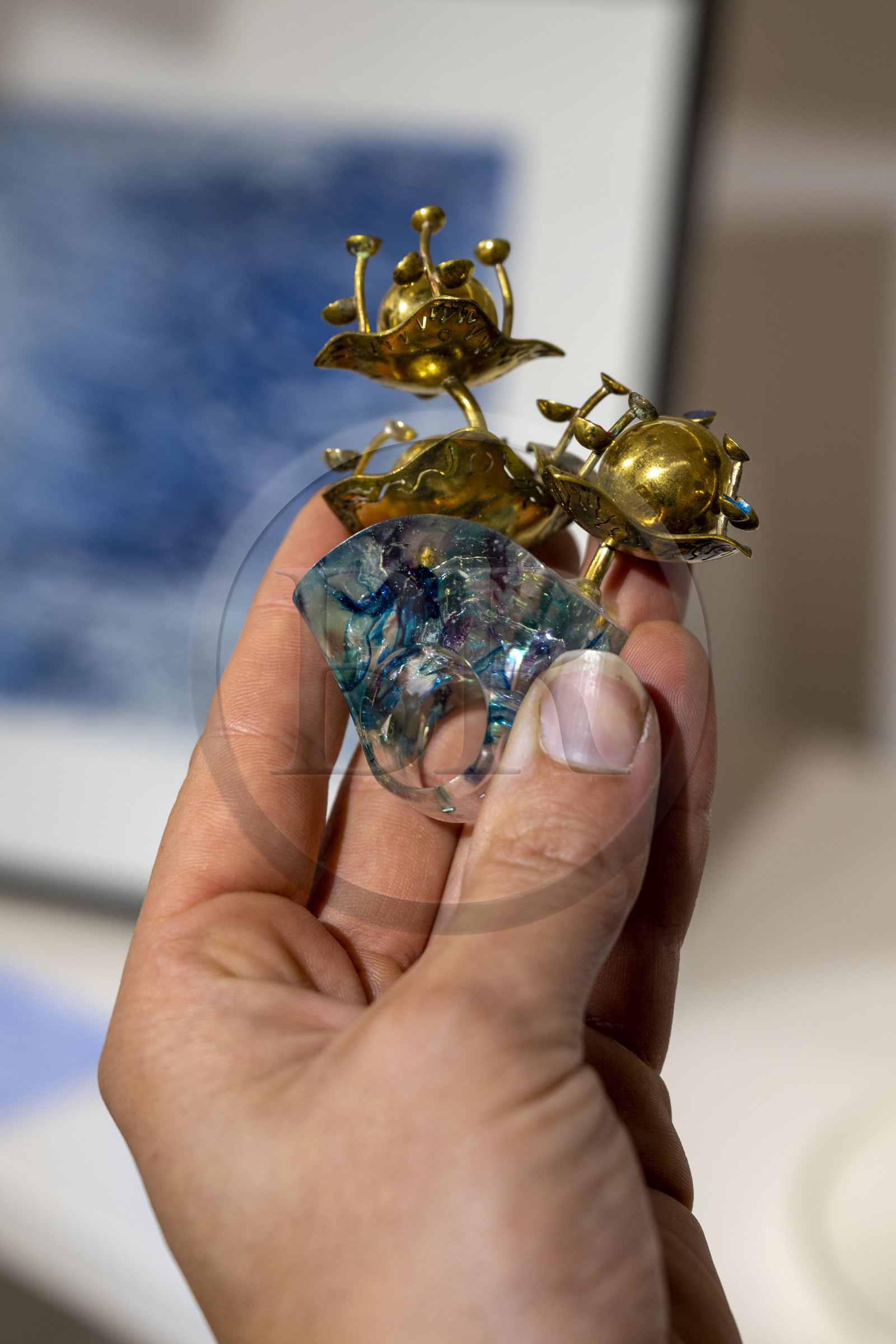 France, Nièvre (58), Nevers, La Verrière, boutique de créateurs, bague Elle Chante par la créatrice de bijoux Manon Pignon (Desmée Bijoux)