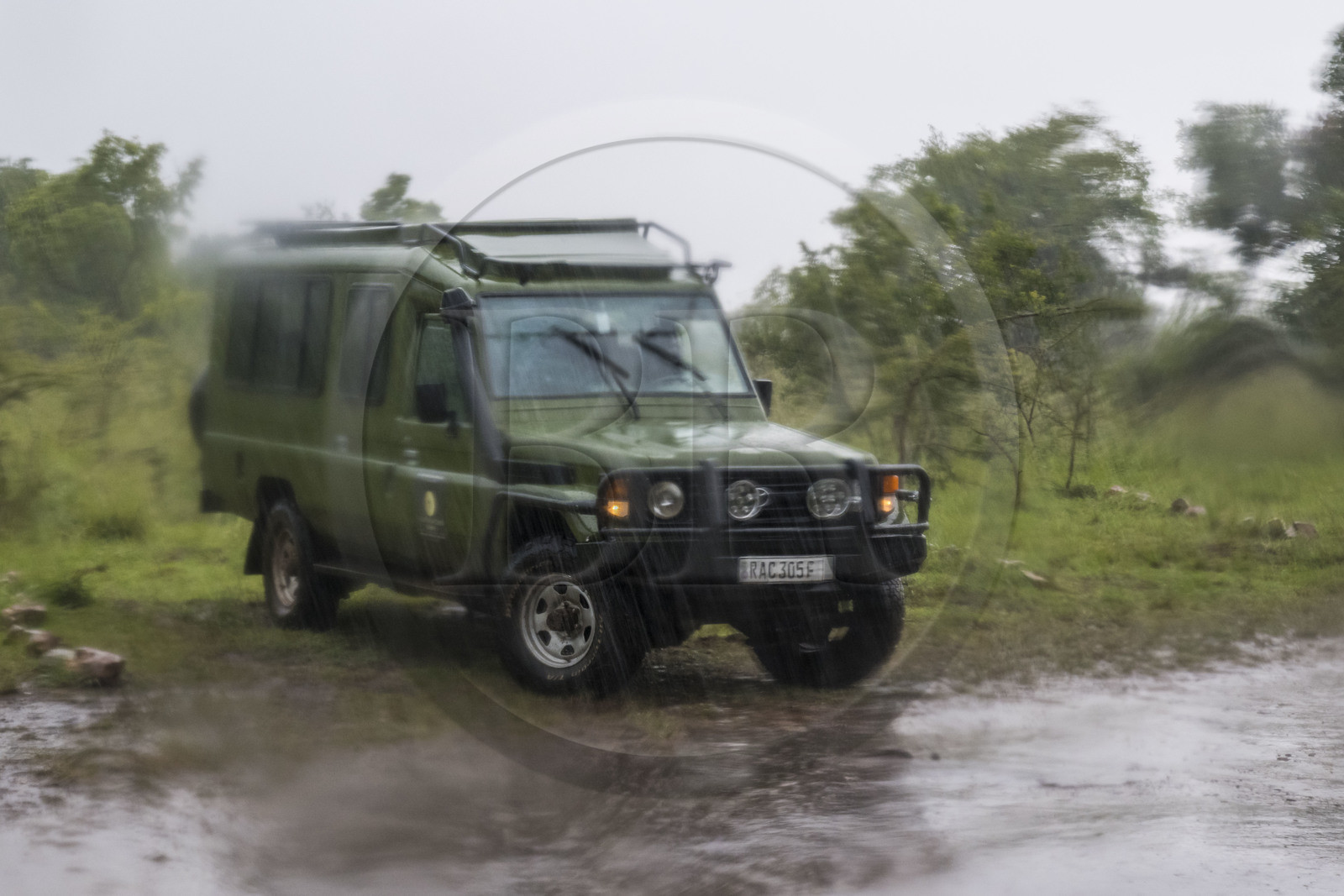 Rwanda, Parc national de l'Akagera, safari en 4x4 sur une piste sous la pluie