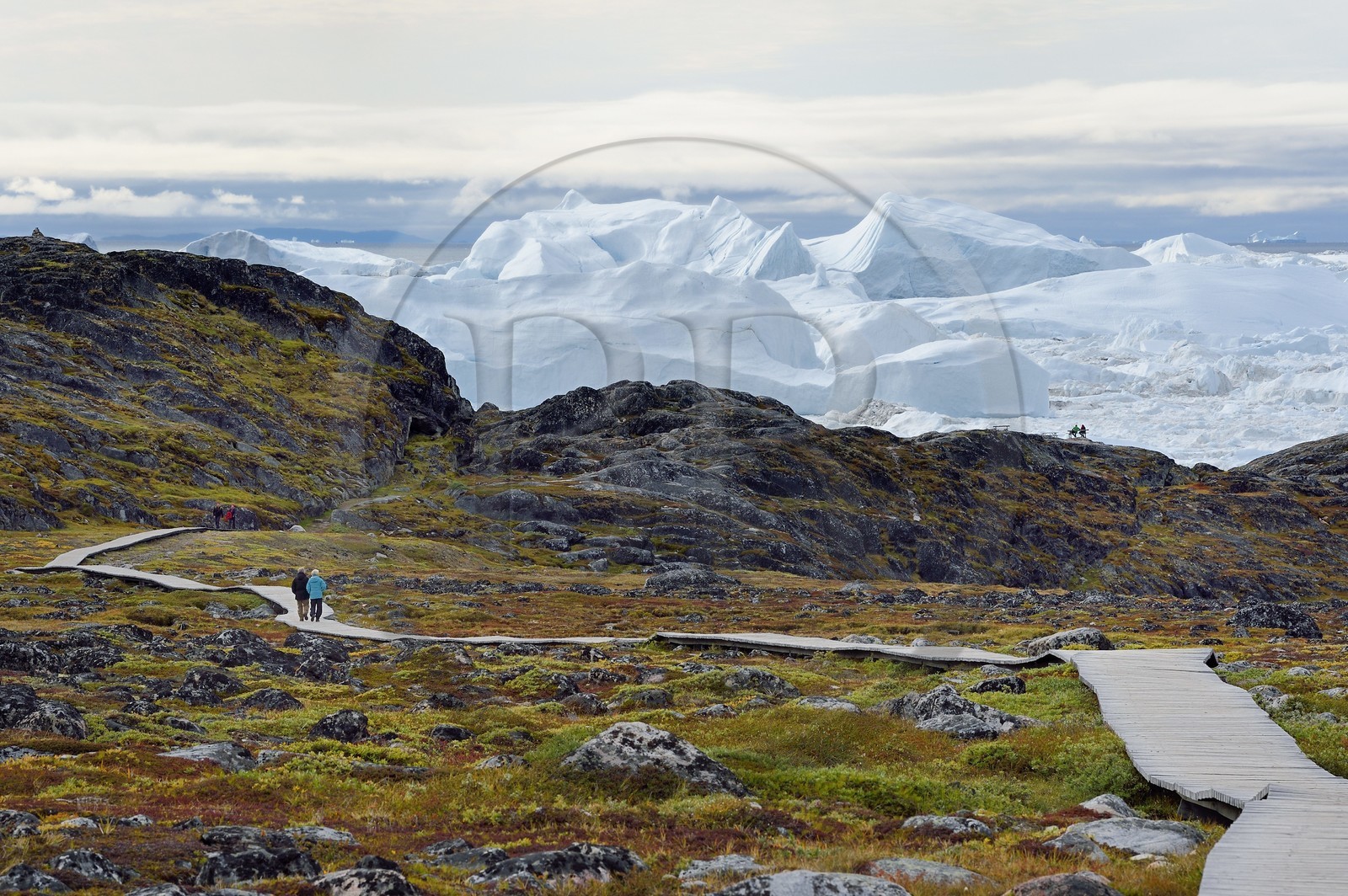 Groenland, cote ouest, baie de Disko, Ilulissat, fjord glacé classé Patrimoine Mondial de l'UNESCO qui est l’embouchure maritime du glacier Sermeq Kujalleq (Jakobshavn Glacier), passerelle en bois du chemin de randonnée allant sur le site de Sermermiut