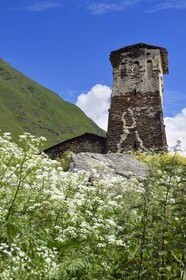 Georgia, Upper Svaneti (Zemo Svaneti), village of Ushguli, listed as World heritage by UNESCO, Svan defensive tower erected next to the house