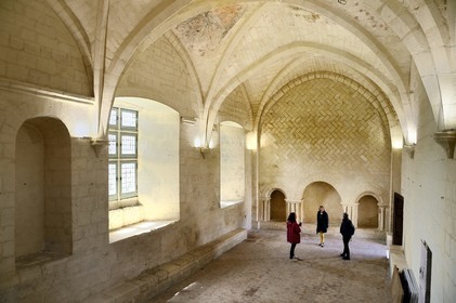 France, Charente-Maritime (17), l'ancien prieuré Saint-Jean-l'Evangéliste de Trizay appelé abbaye de Trizay abrite un centre d'art contemporain, le réfectoire du XV-XVIème siècle et ses peintures au plafond