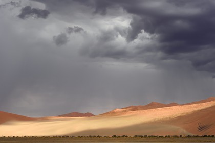 Namibie, région d'Hardap, désert du Namib, parc national du Namib-Naukluft, Erg du Namib classé Patrimoine Mondial de l'UNESCO, dunes de Sossusvlei