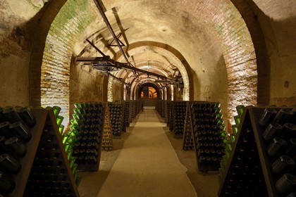 France, Marne (51), Reims le champagne, les caves du Domaine Pommery