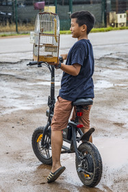 France, French Guiana, Javouhey, Young Hmong boy who bought at the Sunday market a caged Sporophila curio (Sporophila angolensis) or Picolette, a Guyanese passerine bird renowned for its extraordinary song