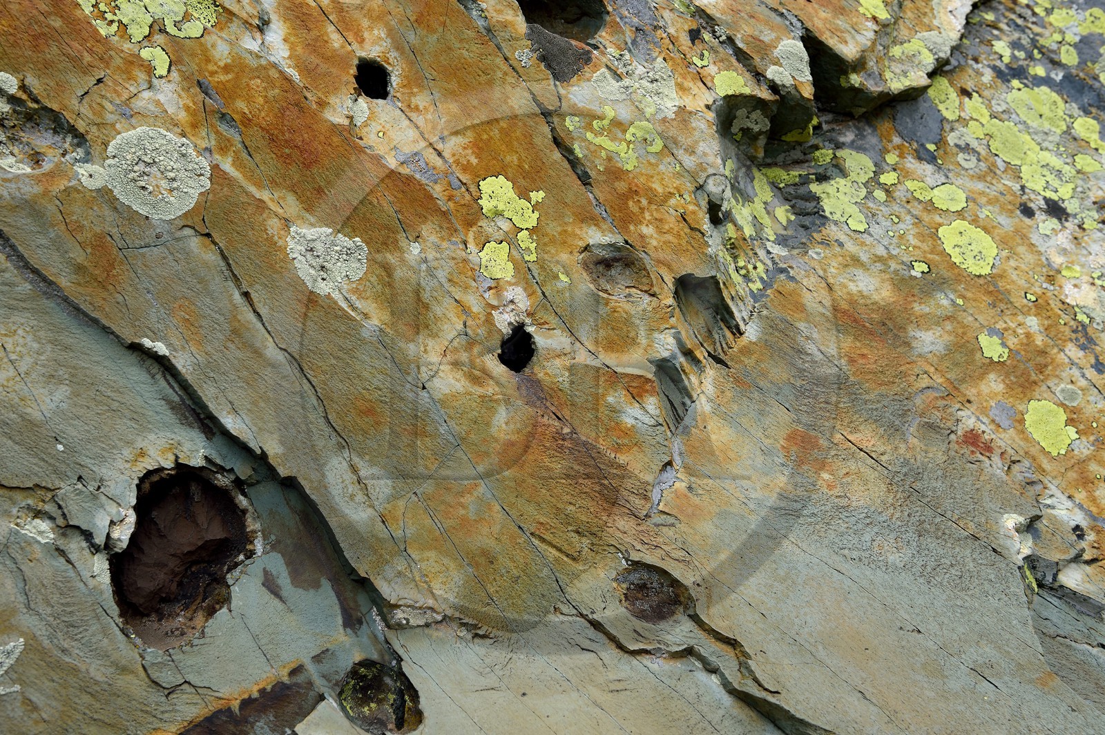 France, Alpes-Maritimes (06), parc national du Mercantour, Vallée des Merveilles, roche chargée en fer, nodules de fer dans une pierre de schiste