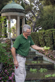 France, Alpes-Maritimes, Saint Jean Cap Ferrat, Villa and Gardens Ephrussi de Rothschild, head gardener André Castellan