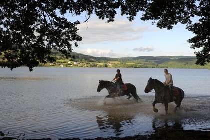 France, Nièvre (58), lac de Pannecière, découverte équestre du lac