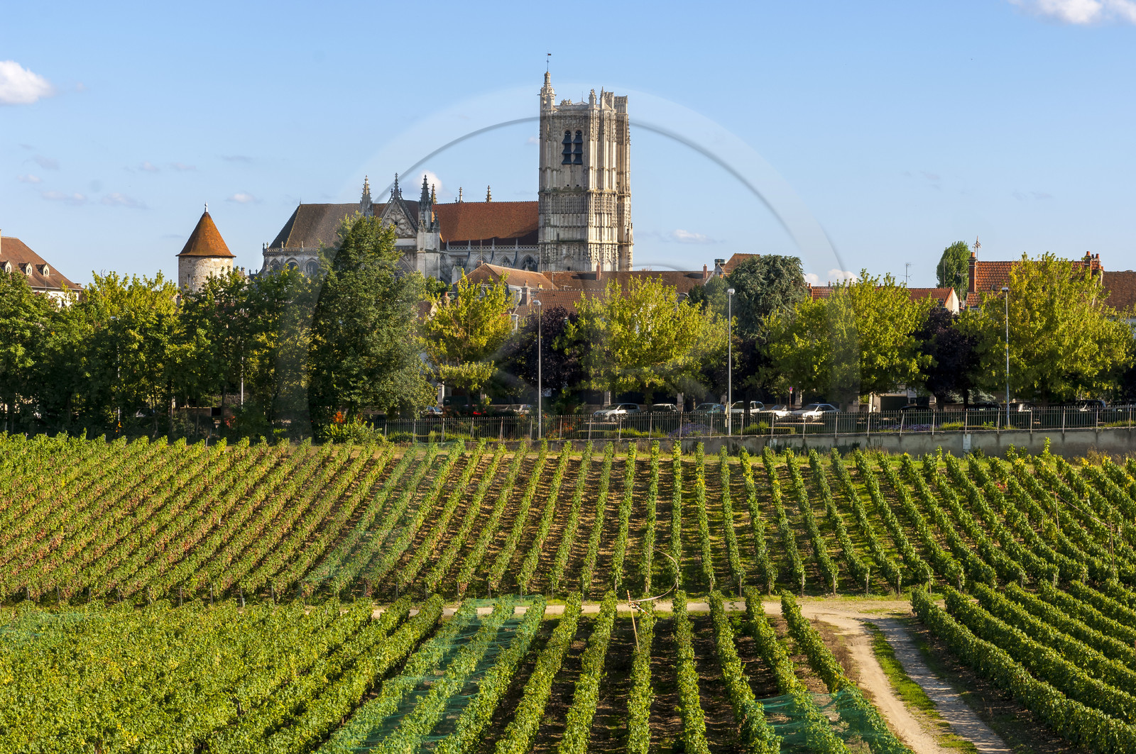 France, Yonne (89), Auxerre, vignes du Clos de la Chaînette (dans le centre hospitalier spécialisé de l'Yonne) et l'abbaye Saint-Germain