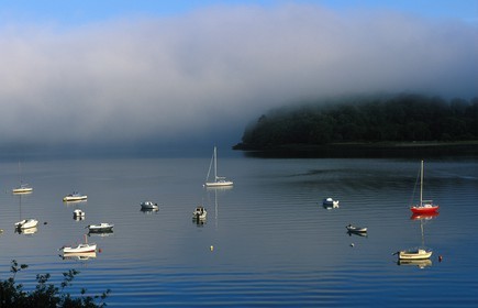 France, Finistere, natural harbour of Brest city, mouth of the Aulne river in the morning mist at Landevennec