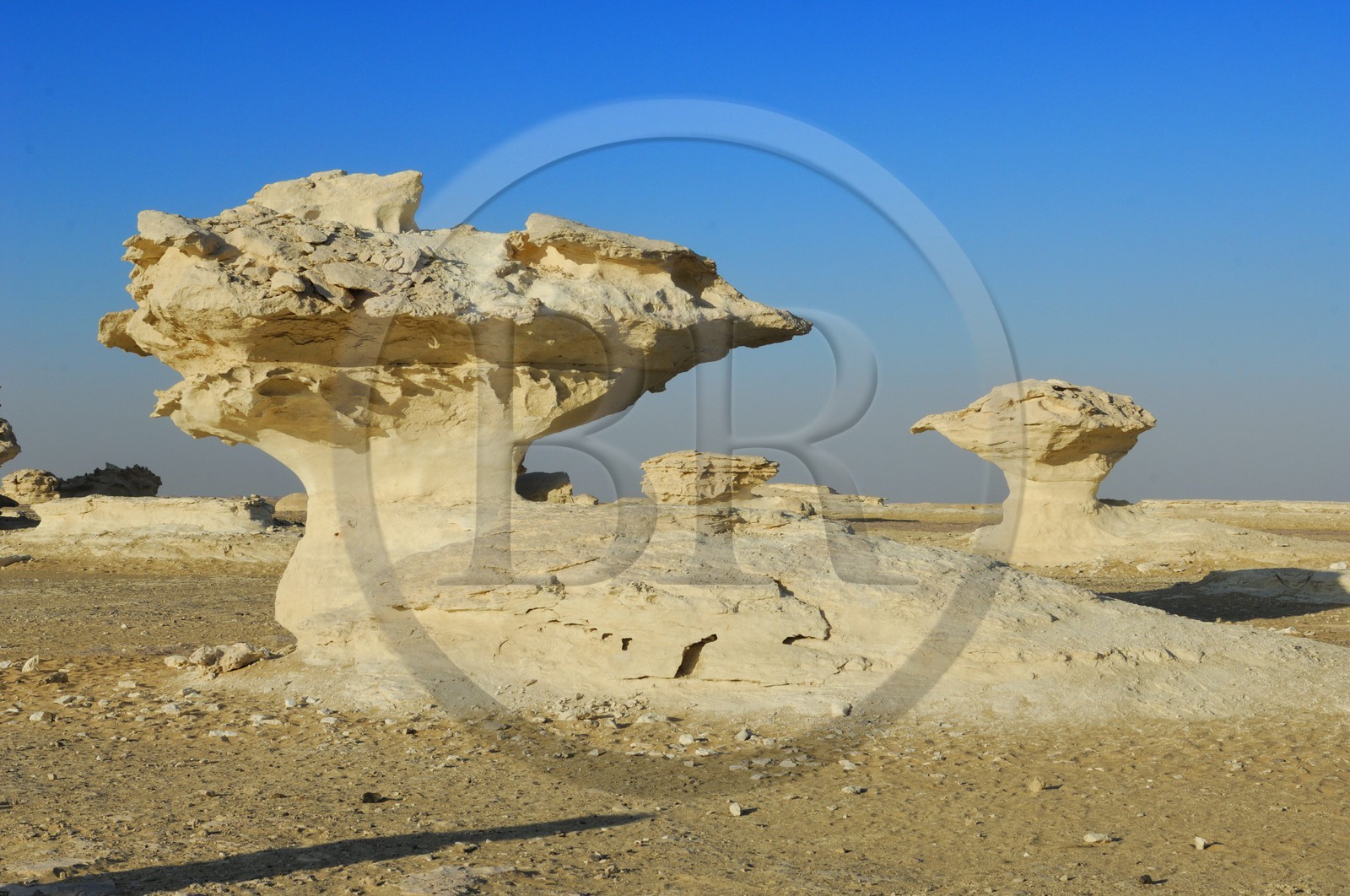 Egypte, désert libyque, le Désert Blanc au nord de Farafra