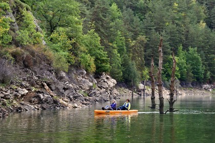 France, Cantal (15), Gorges de la Truyère, Chaliers, découverte en kayak à pédales de la rivière Truyère en amont du viaduc de Garabit et troncs d'arbres morts vestiges de la foret noyée