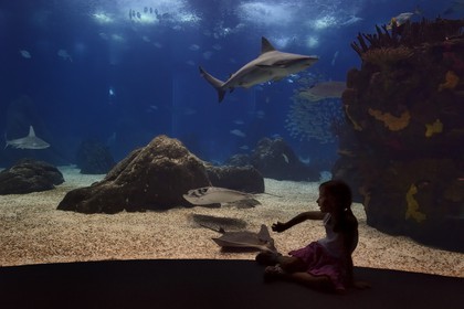 Portugal, Lisbonne, Parque das Nações (Parc des nations) construit pour l'exposition universelle de 1998, Oceanário (Oceanarium), aquarium