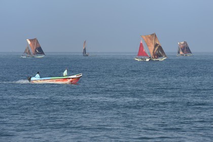 Sri Lanka, Province de l'Ouest, Negombo, peche traditionnelle sur des catamarans