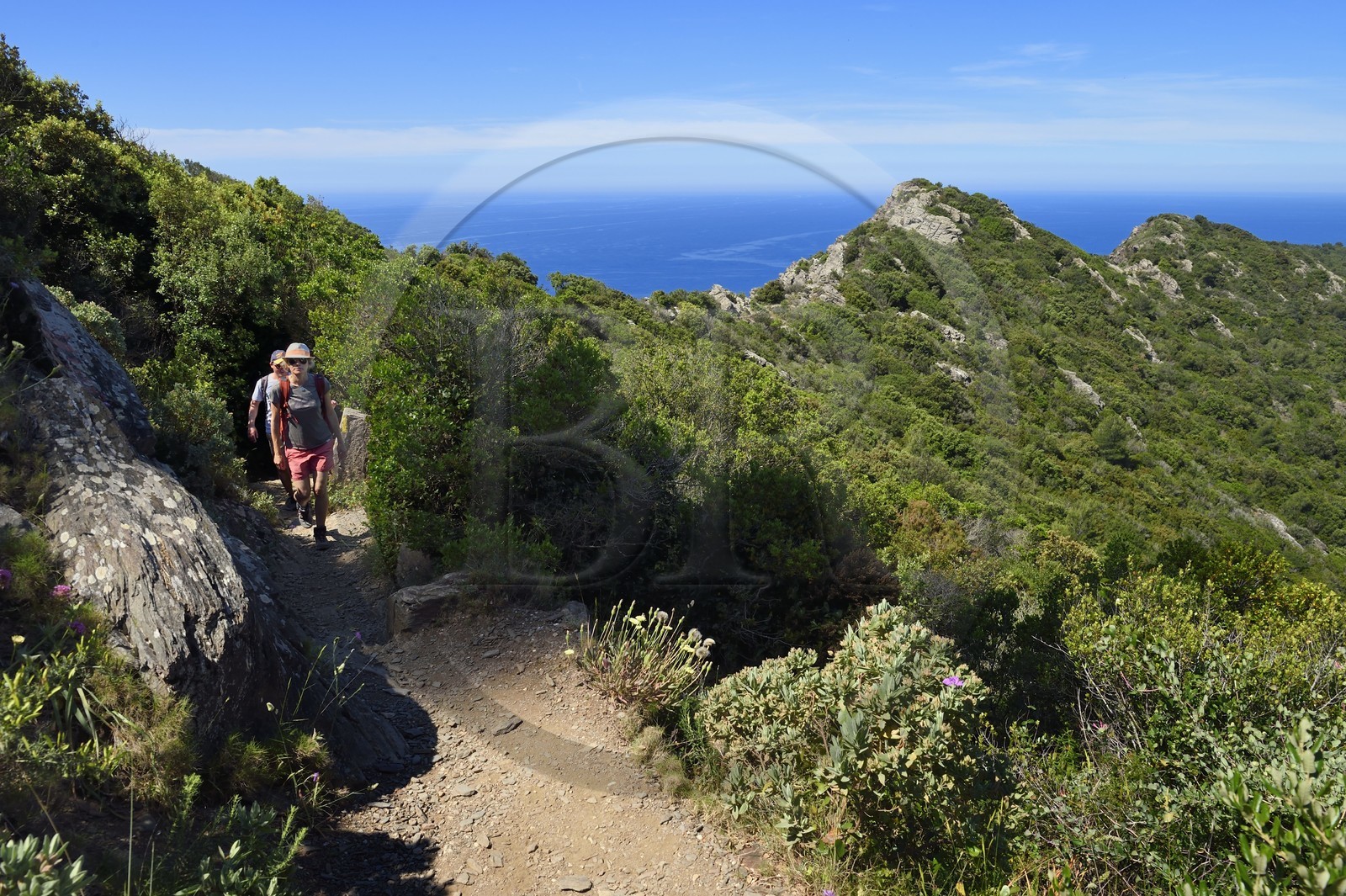 France, Var (83), Six-Fours-les-Plages, randonnée dans le massif du Cap Sicié, randonneurs sur le sentier des cretes de Roumagnan