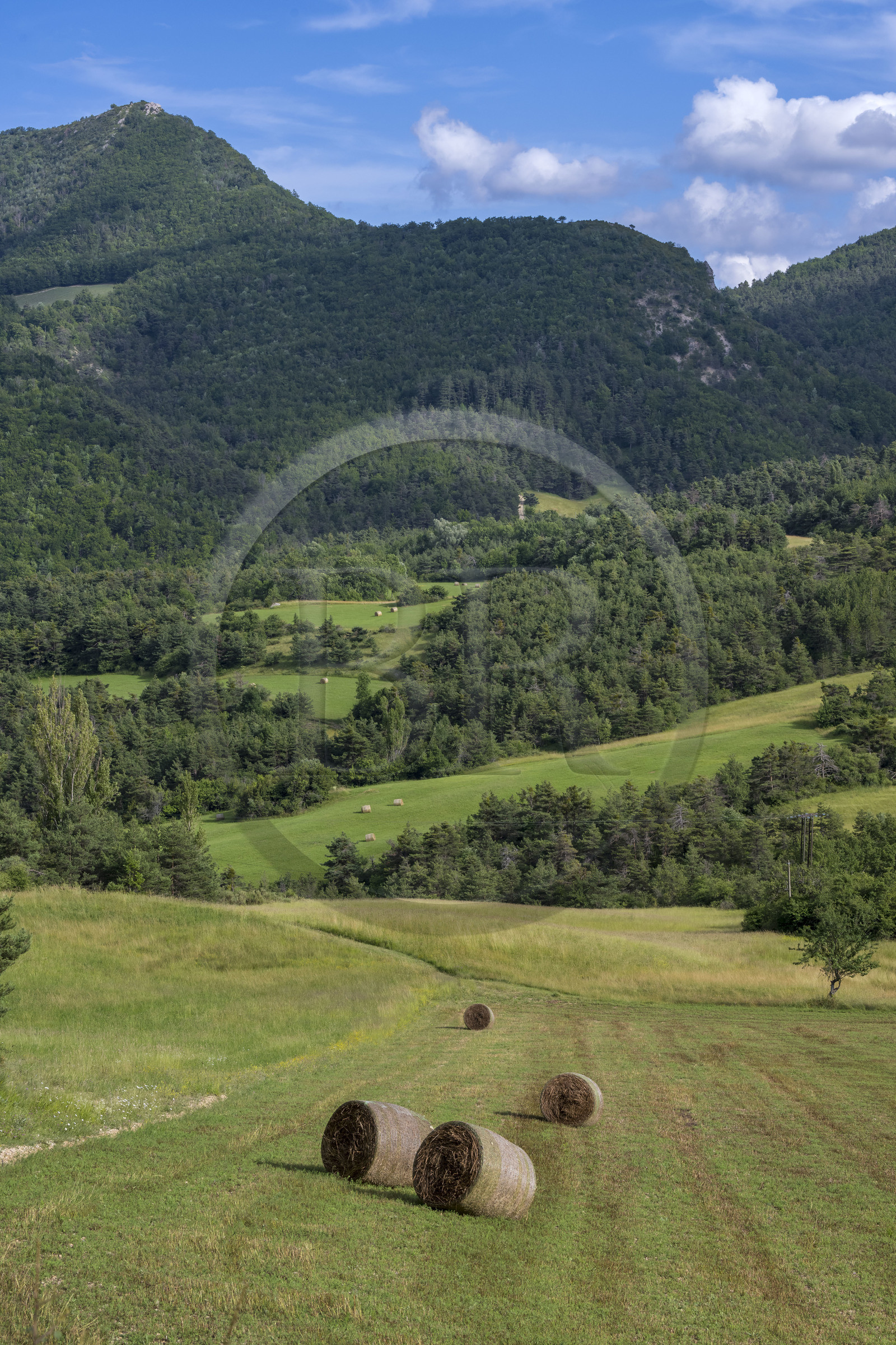 France, Drôme (26), parc naturel régional des Baronnies provençales, Laborel, meules de foin