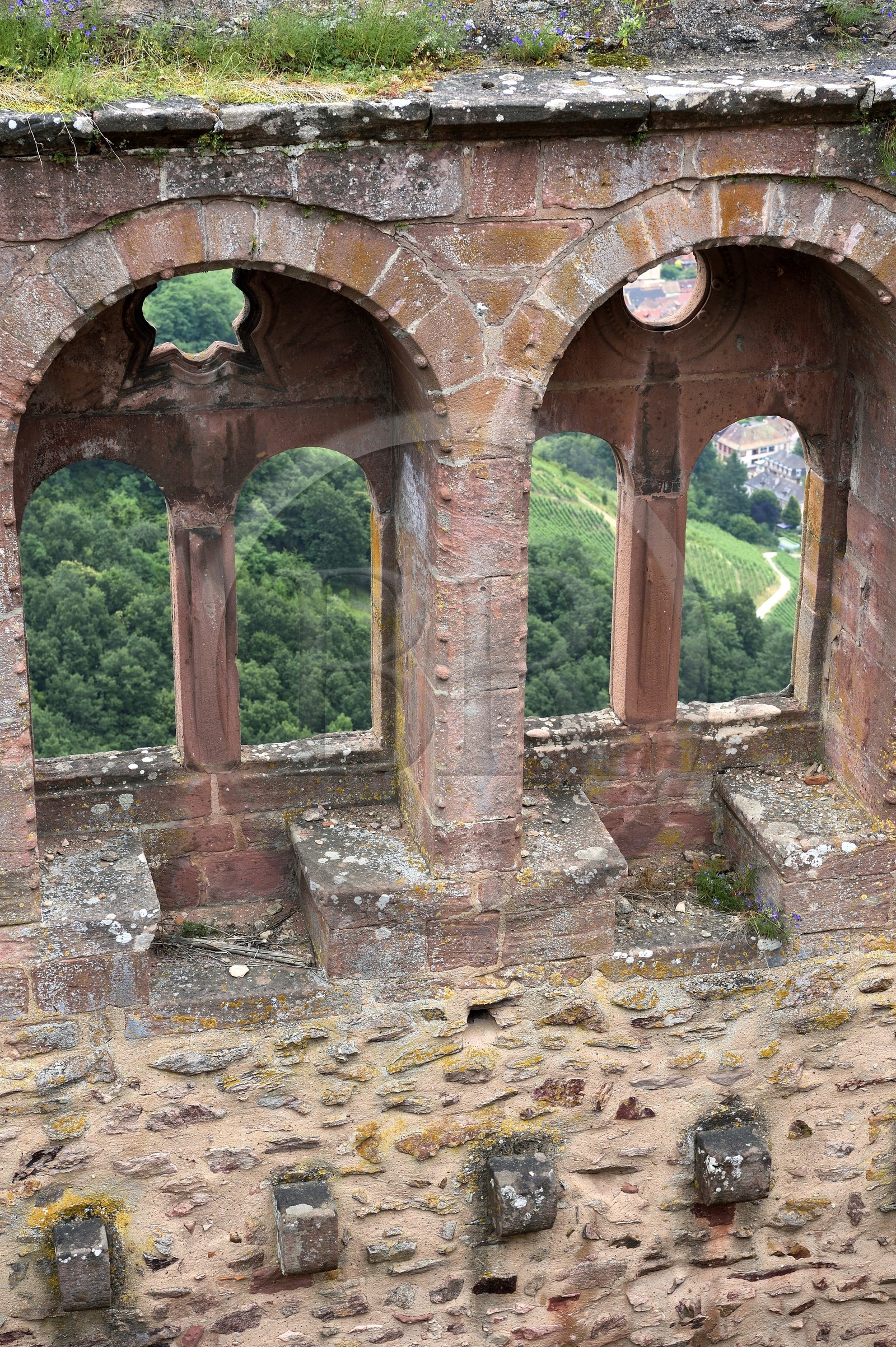 France, Haut Rhin, the Alsace Wine Route, Ribeauville, Saint Ulrich Castle, semicircular windows