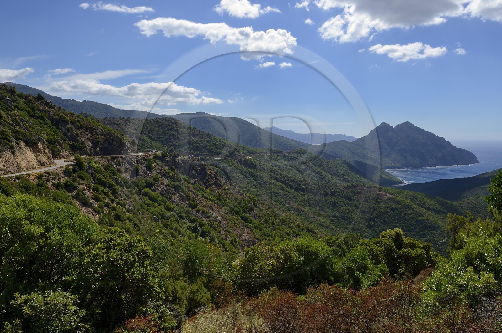 France, Corse-du-Sud (2A), Golfe de Girolata, classé Patrimoine Mondial de l'UNESCO, la route D81 qui va de Calvi à Porto et le Capo Senino depuis le Col de Palmarel France, Corse-du-Sud (2A), Golfe de Girolata, classé Patrimoine Mondial de l'UNESCO, la route D81 qui va de Calvi à Porto et le Capo Senino depuis le Col de Palmarel