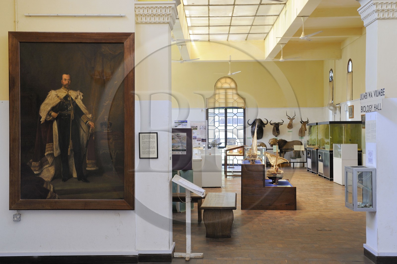 Tanzanie, Dar es-Salaam, le National Museum