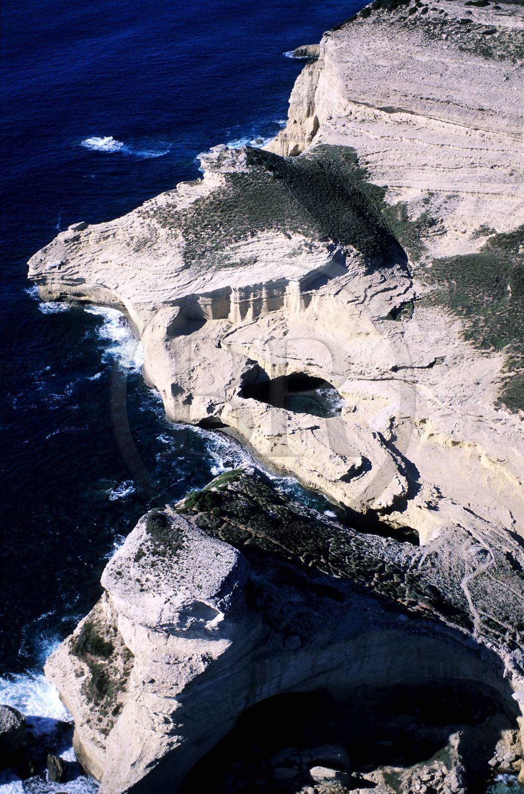 France, Corse-du-Sud (2A), Bonifacio, le Capo Pertusato dans les falaises calcaires (vue aérienne)