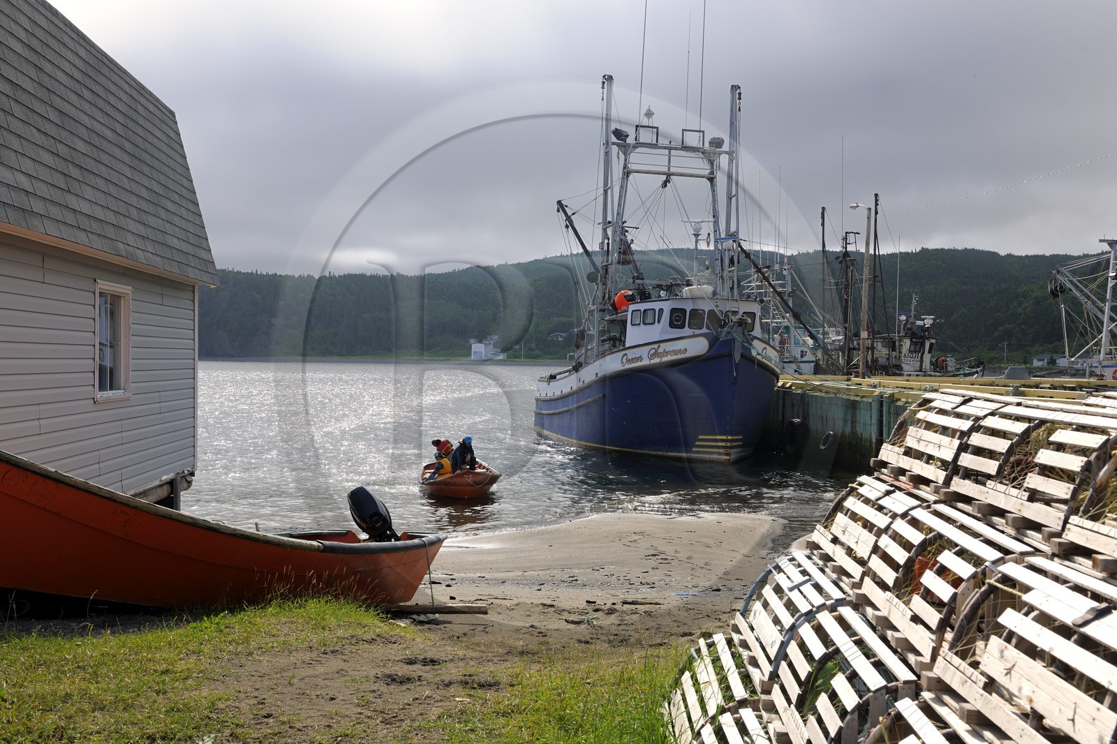 Canada, province de Terre-Neuve et Labrador, Ile de Terre-Neuve, fjord de Corner Brook, sur les traces du capitaine Cook, village de pêcheurs Frenchman's Cove