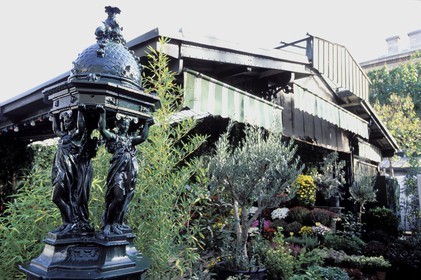 France, Paris (75), île de la Cité, le marché aux fleurs, fontaine Wallace