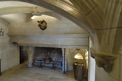 France, Indre et Loire, Chateau de Chenonceau, the kitchens