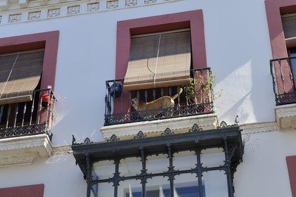 Espagne, Andalousie, Séville, calle San Luis
