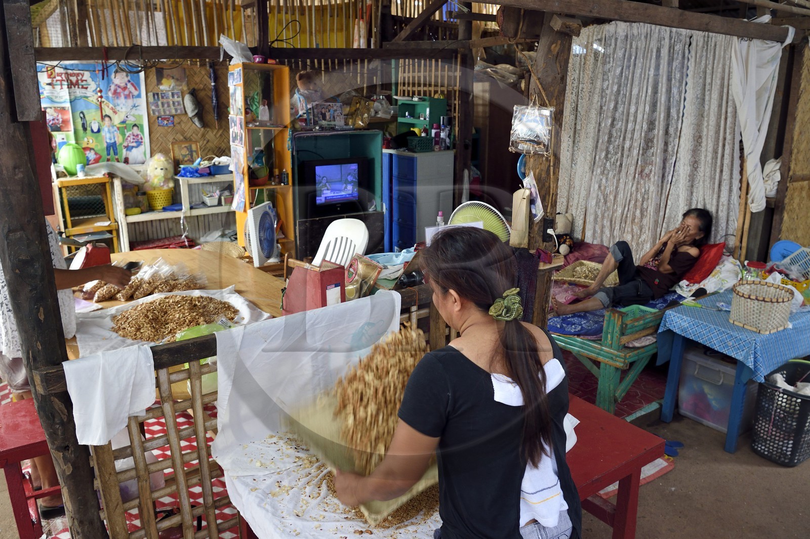 Philippines, Calamian Islands dans le nord de Palawan, Busuanga Island, ville de Coron, Coron Harvest Cashew factory, préparation des noix de cajou