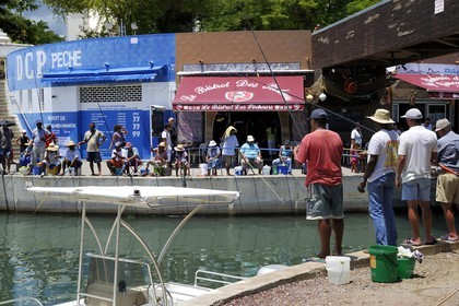 France, Ile de la Reunion, la Côte Ouest, Saint-Gilles-les-Bains, pêcheurs dans le port