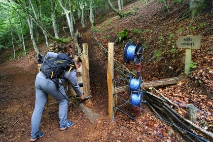 France, Puy de Dome, Aydat, on the slopes of the Puy de Vichatel volcano, Catline Lajoie nature warden at the Parc Naturel Régional des Volcans d'Auvergne (regional nature park of Auvergne volcanoes) on the  the Vichatel Musette nature trail, creation of a path for hikers