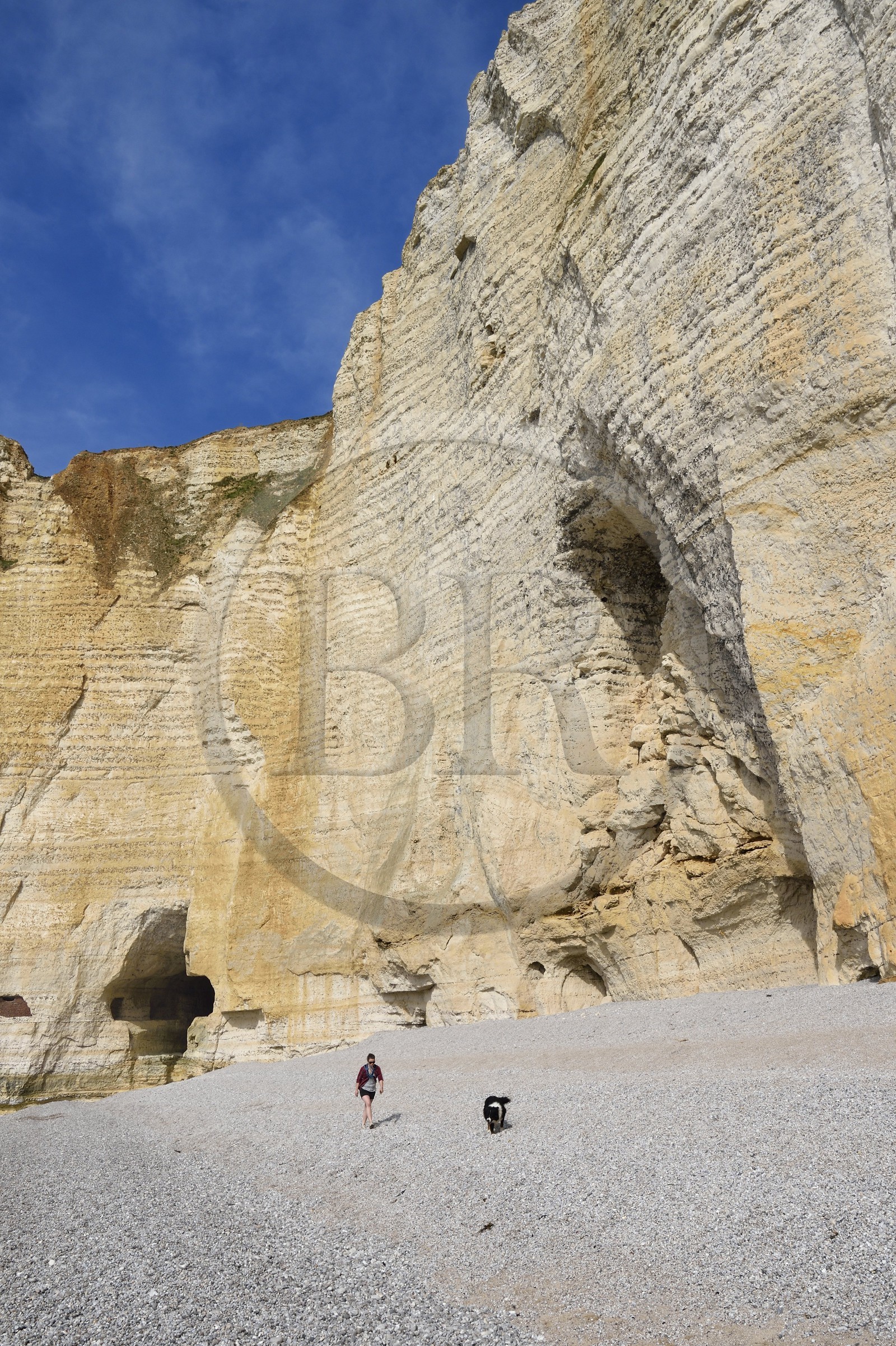 France, Seine-Maritime (76), Pays de Caux, Côte d'Albâtre, Etretat, Pointe de la Courtine, plage d'Antifer