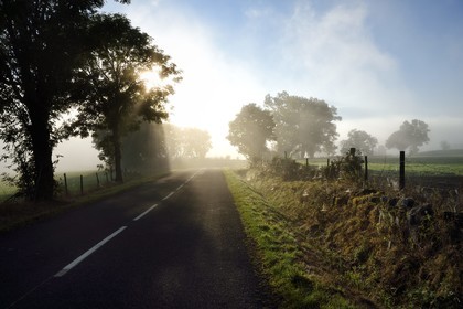 France, Haute Loire, Ussel, country road in the summer morning mist
