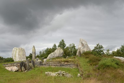 France, Ille-et-Vilaine, Saint-Just, megalithic monuments of the Lande de Cojoux, dolmen dating from 3500 BC called the Chateau Bu