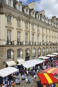 France, Ille-et-Vilaine, Rennes, stalls of the Grande braderie (flea market)