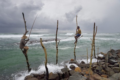 Sri Lanka, Southern Province, Galle district, Weligama, Midigama beach, Pole Fishermen or Stilt Fishermen ply their trade along the Galle coastline