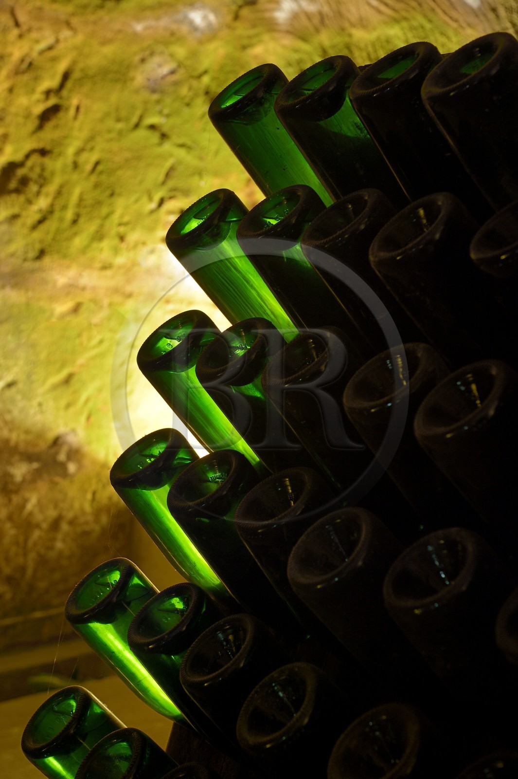 France, Marne (51), Reims le champagne, les caves du Domaine Pommery