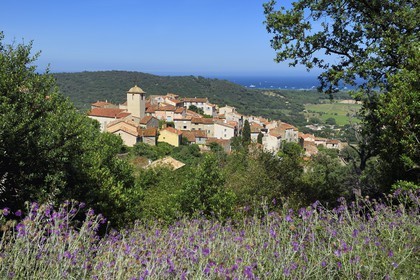 France, Var, Presqu'ile de Saint-Tropez, Ramatuelle,