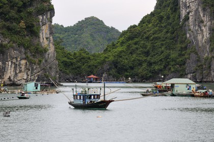 Vietnam, Quang Ninh Province, Halong Bay, listed as World Heritage by UNESCO, fishing floating village of Vong Vieng