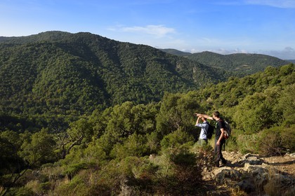 France, Var (83), Massif des Maures, Collobrières, randonnée des Menhirs de Lambert dans le vallon derrière le village